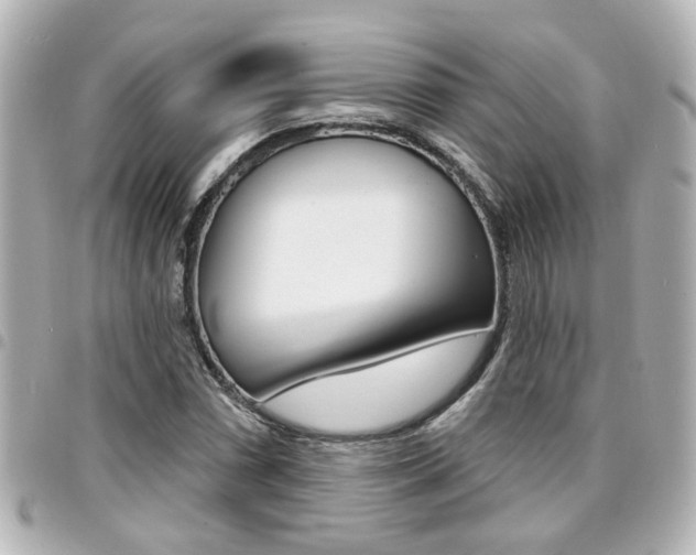 X0000094441066200711081020