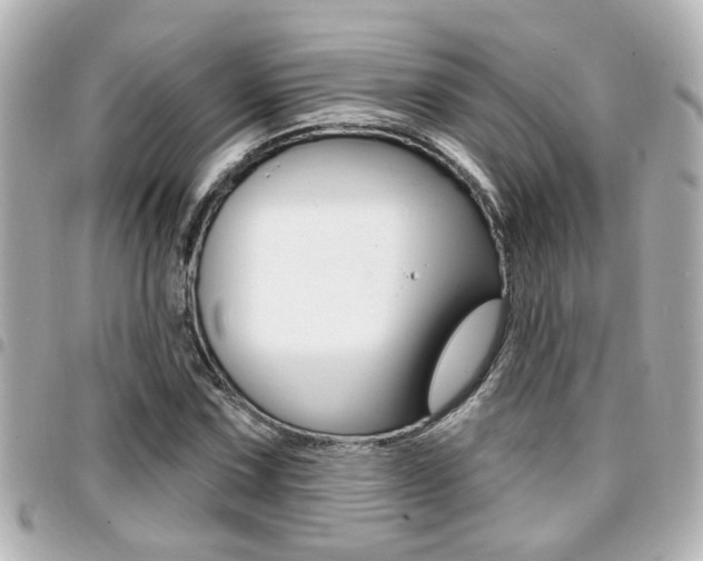 X0000094441067200711081020