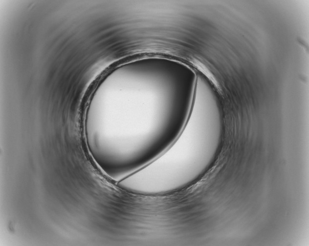 X0000094441068200711081020