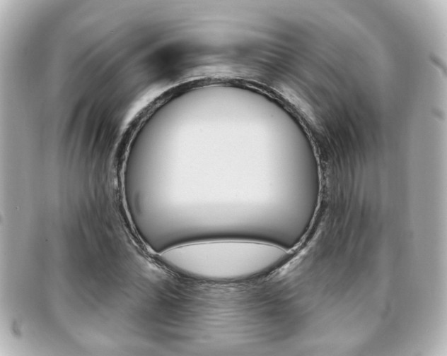 X0000094441070200711081020