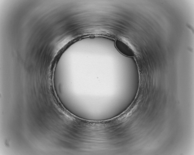 X0000094441071200711081020