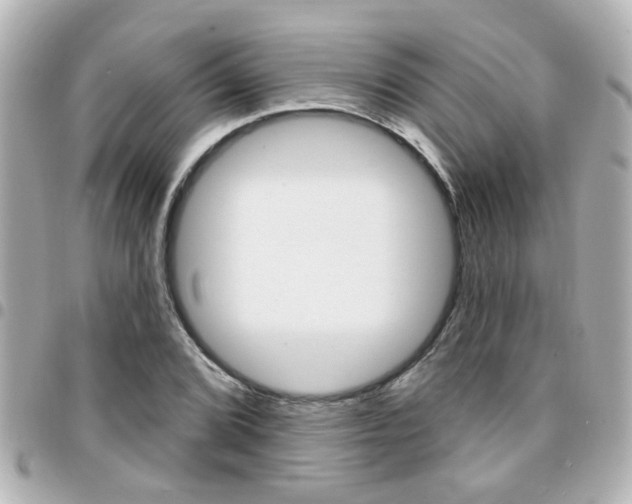 X0000094441072200711081020