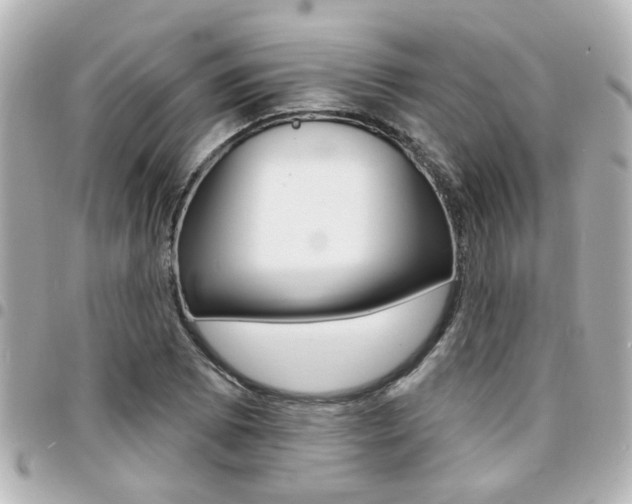 X0000094441073200711081020