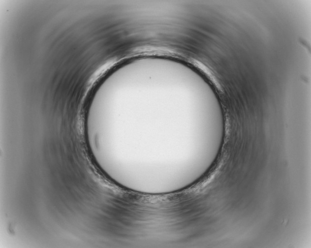 X0000094441074200711081020