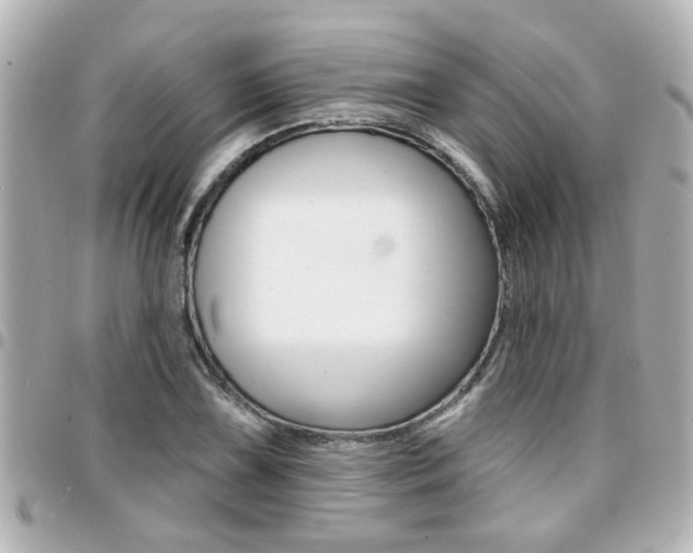 X0000094441075200711081020