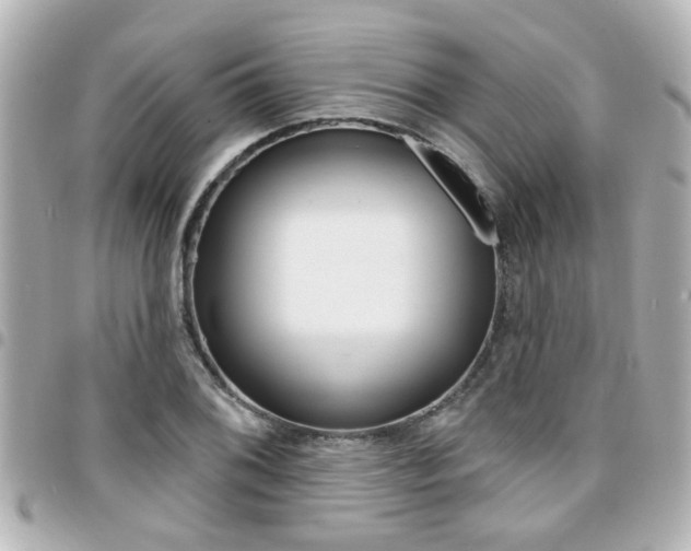 X0000094441076200711081020