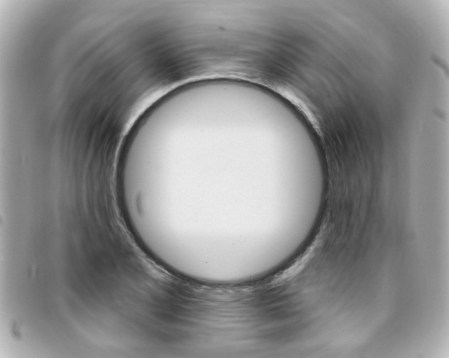 X0000094441077200711081020