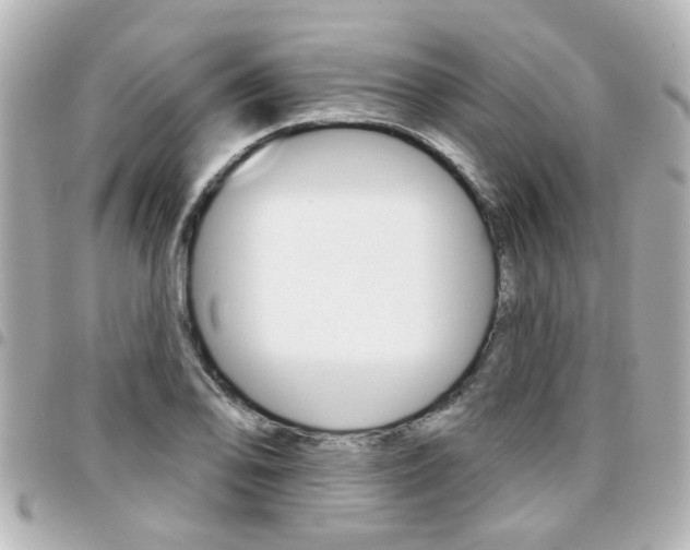 X0000094441078200711081020