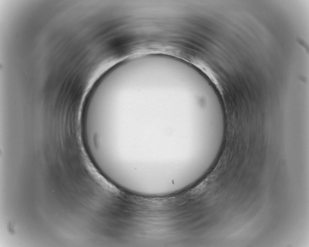 X0000094441080200711081020
