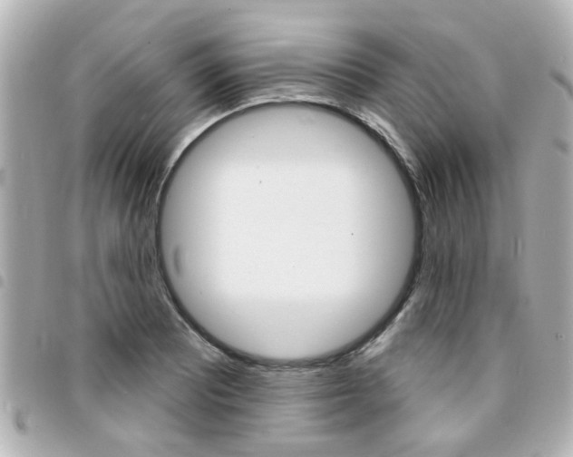 X0000094441081200711081020