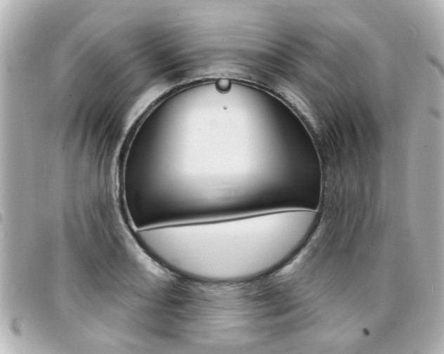 X0000094441082200711081020