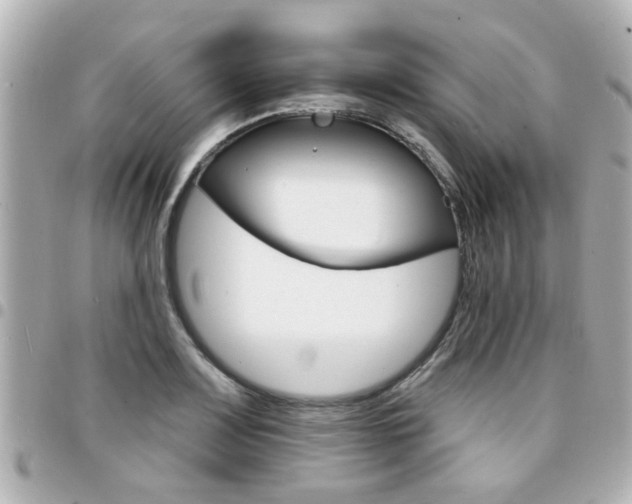 X0000094441083200711081020