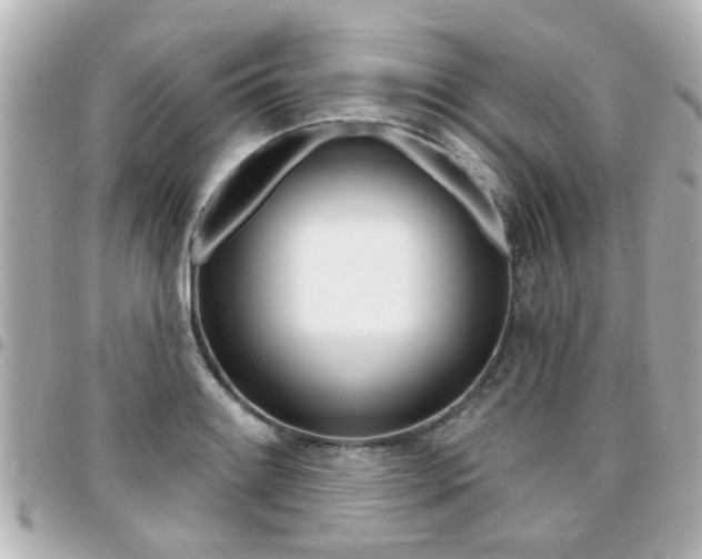 X0000094441084200711081020