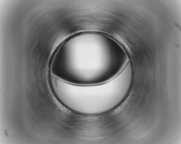 X0000094441085200711081020