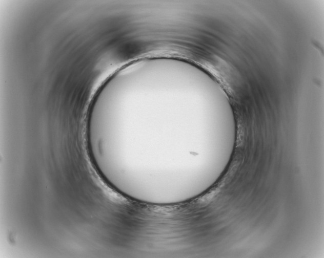 X0000094441086200711081020