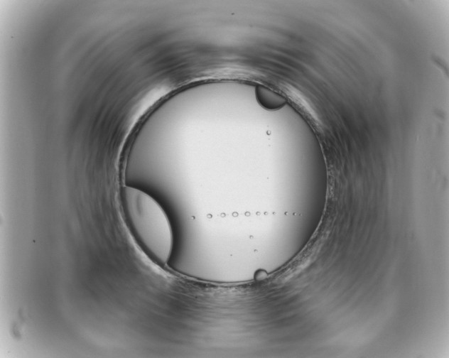 X0000094441087200711081020
