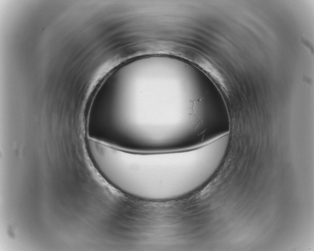 X0000094441088200711081020