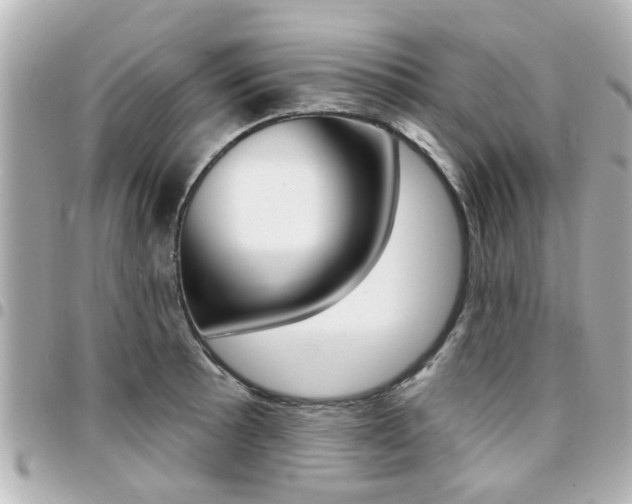 X0000094441089200711081020