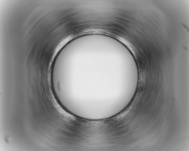 X0000094441090200711081020