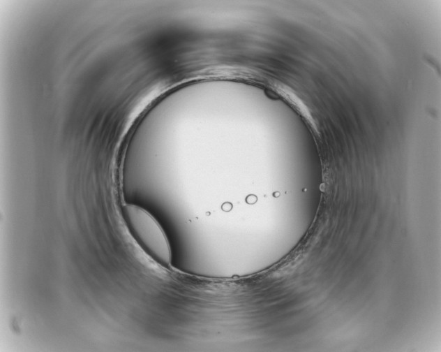X0000094441091200711081020
