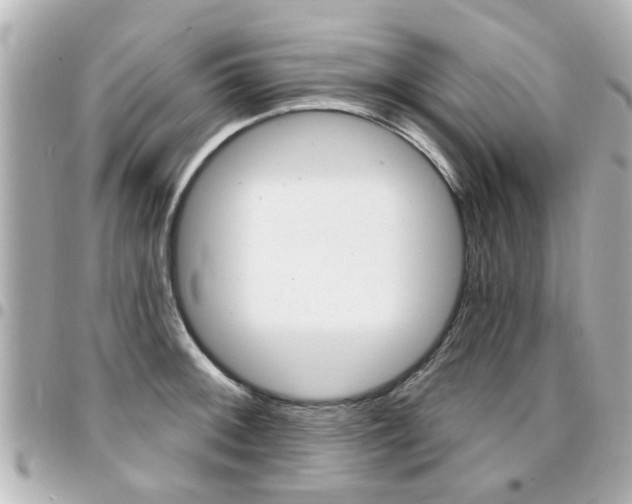 X0000094441092200711081020