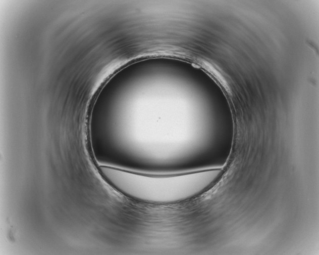 X0000094441093200711081020