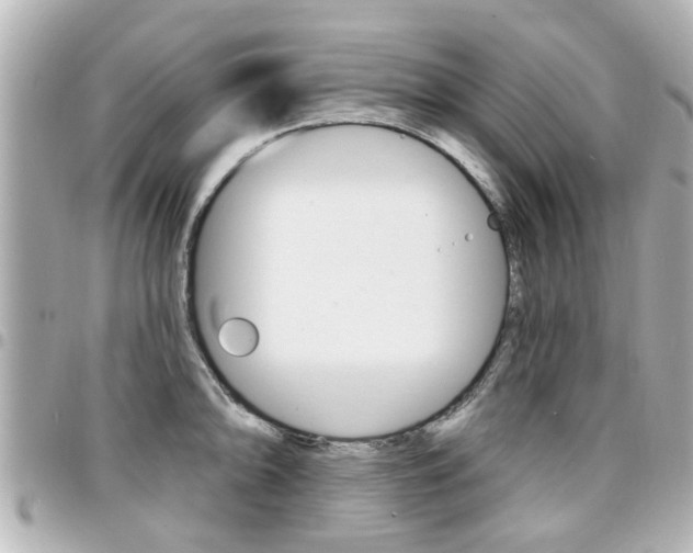 X0000094441094200711081020
