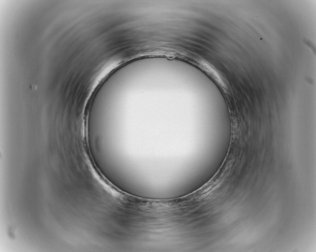 X0000094441095200711081020