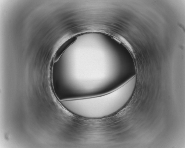 X0000094441096200711081020