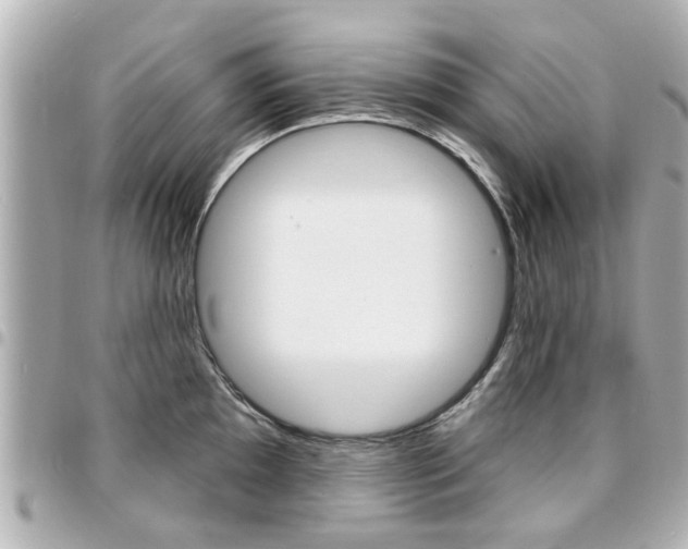 X0000094441097200711081020