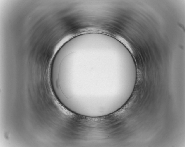 X0000094441098200711081020