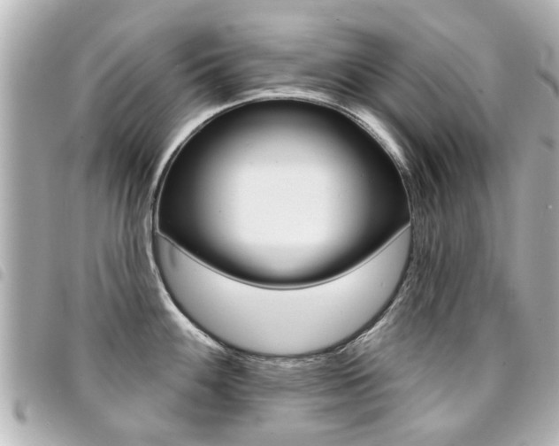 X0000094441100200711081020