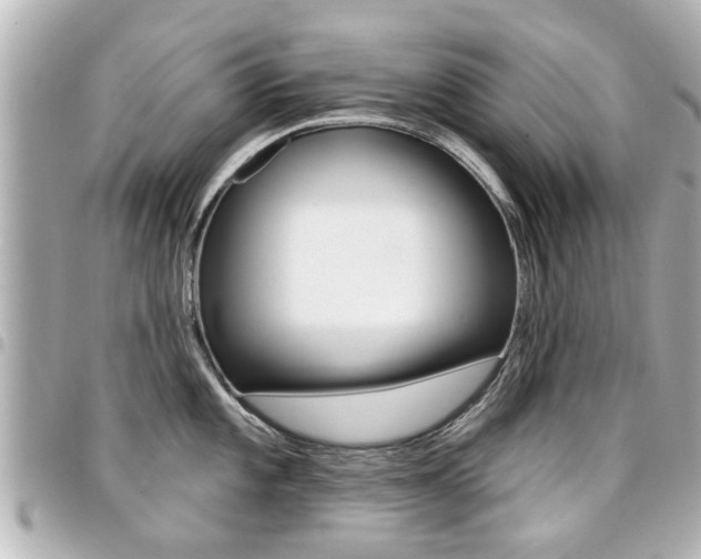 X0000094441101200711081020