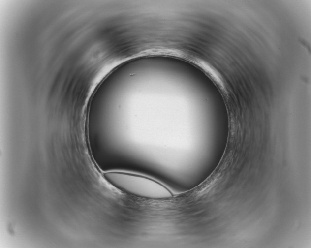 X0000094441102200711081020