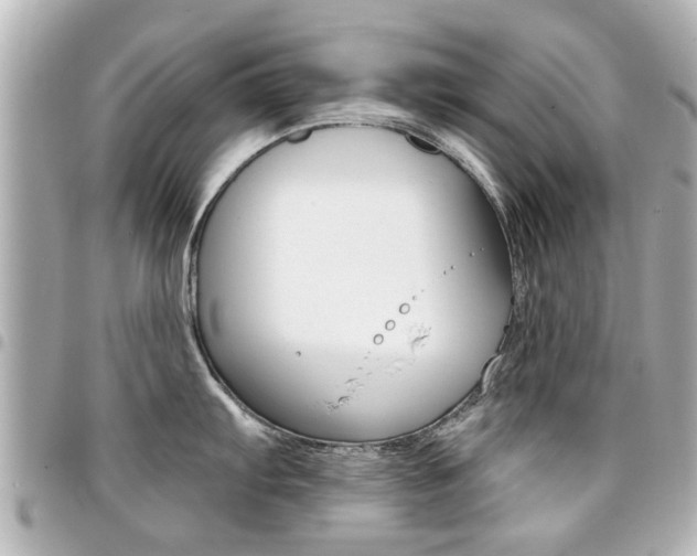 X0000094441103200711081020