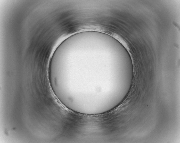 X0000094441104200711081020