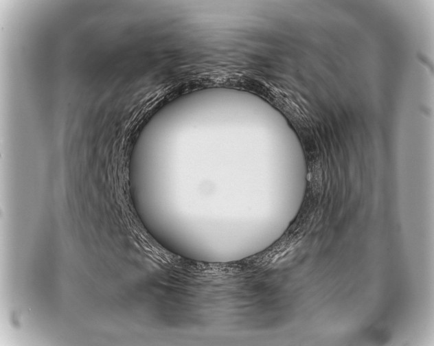 X0000094441105200711081019