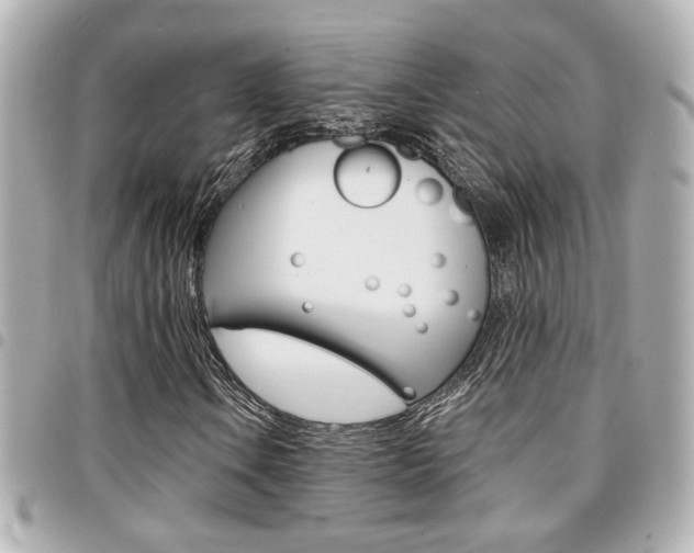 X0000094441106200711081019