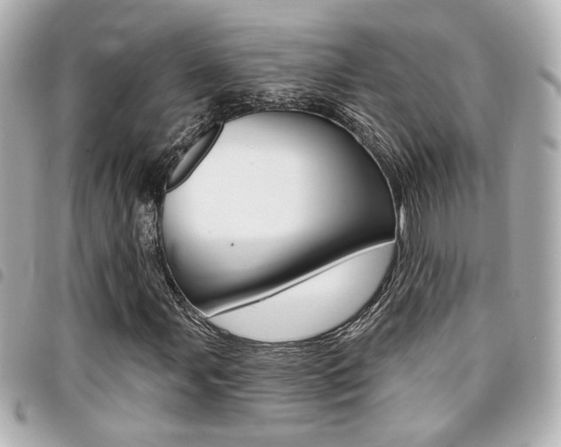 X0000094441107200711081019