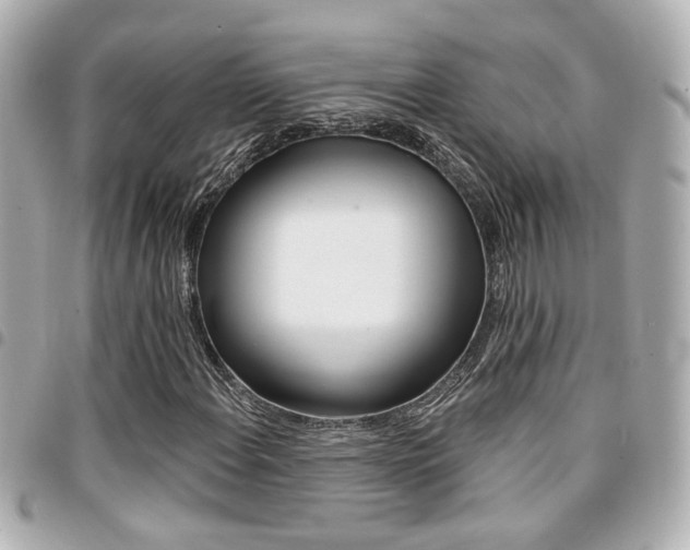 X0000094441108200711081019