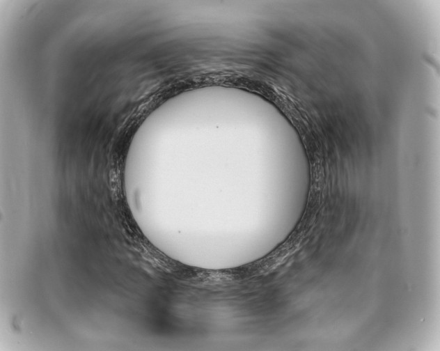 X0000094441109200711081019