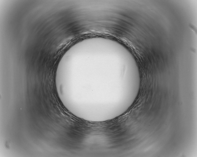 X0000094441110200711081019