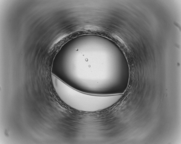 X0000094441112200711081019