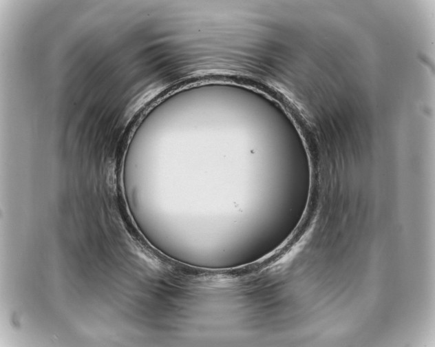 X0000094441113200711081019
