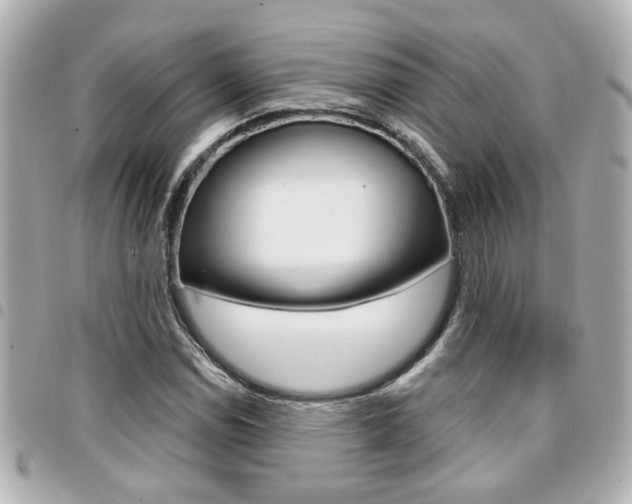 X0000094441114200711081019