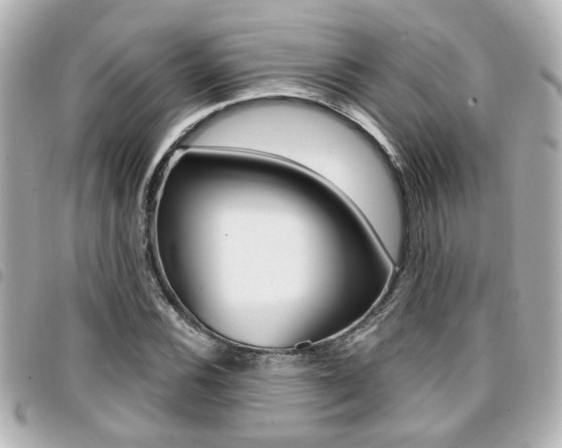 X0000094441116200711081019