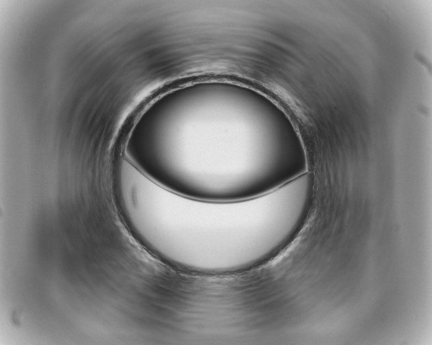 X0000094441118200711081019