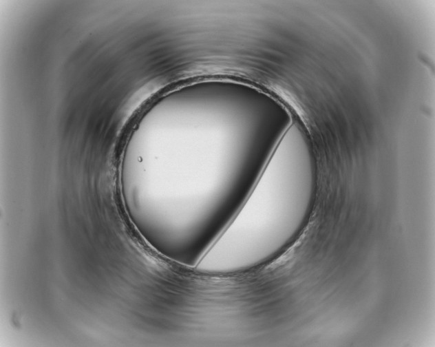 X0000094441119200711081019