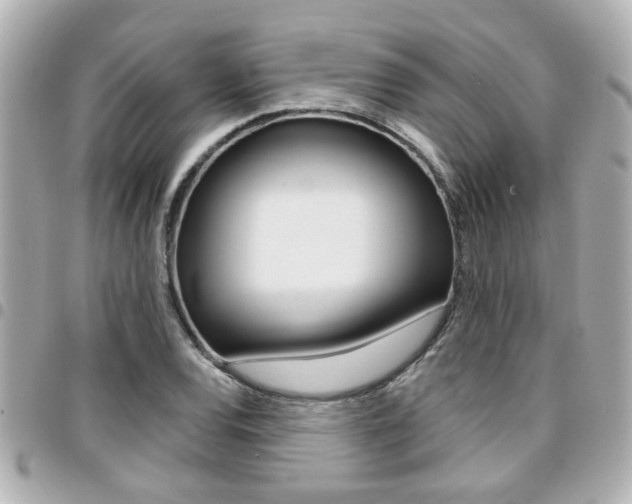 X0000094441120200711081019