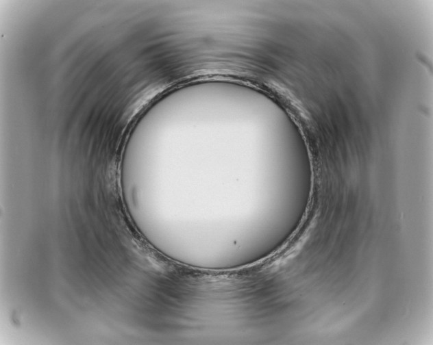 X0000094441121200711081019